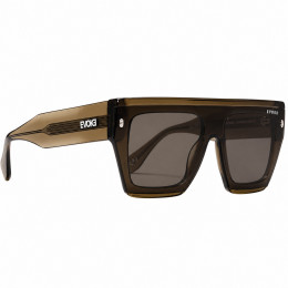 Óculos Evoke EVK 64 E02 Cristal Green/ Lente Silver Green Total